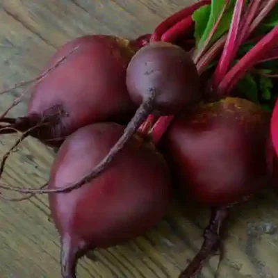 Beet Extract